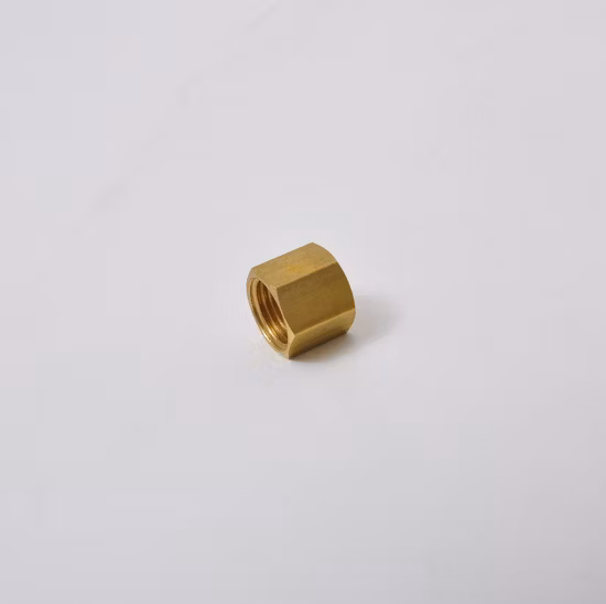 육각 너트, 캡 너트, 황동 암 BSPP 회전 너트/도토리 너트/황동 너트/산세 너트/파이프 나사, 공장 공급 G/NPT/BSPT/BSPP 나사 너트